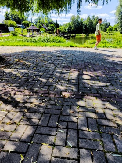 Wojsławickie Klimaty - galeria zdjęć